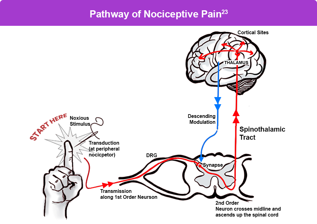 Defining Pain – REMS Pain